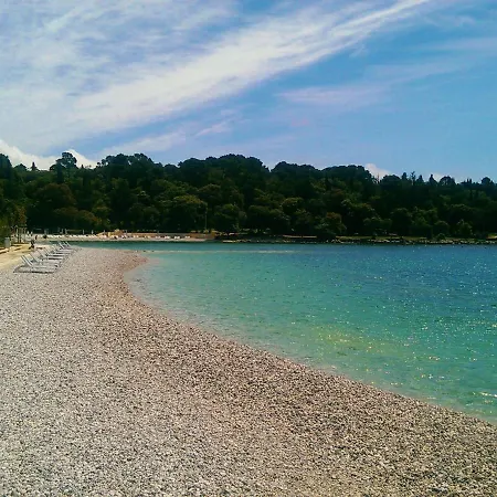 Romantika - Roj105 By Interhome Apartment Rovinj
